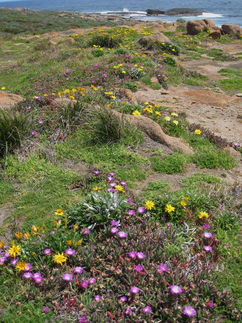 Cape Leeuwin Cafe - Yamba Accommodation 8