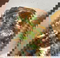 Putt Putts Pasta - Yamba Accommodation