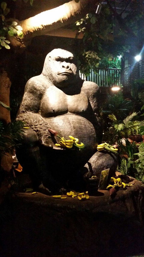 Jungle Restaurant - Yamba Accommodation 1