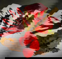 Clare Castle Hotel Restaurant - Yamba Accommodation