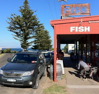 Fish - Yamba Accommodation