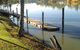 River Jacks Cafe - thumb 1