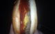 McDonalds Family Restaurant - thumb 0