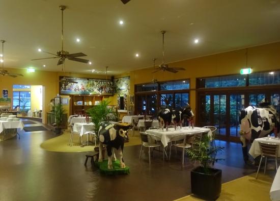 Malanda QLD Yamba Accommodation