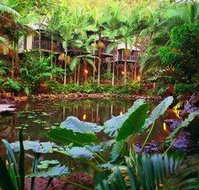 Daintree Eco Lodge  Spa - Yamba Accommodation