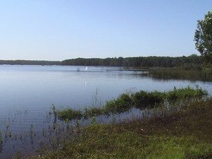 Cabarita Lake Apartments - Yamba Accommodation 2