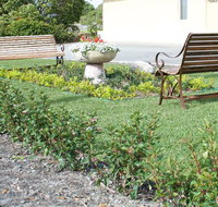 SureStay by BW The Clarence on Melville - Yamba Accommodation