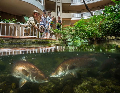 DoubleTree By Hilton Cairns - Yamba Accommodation 4