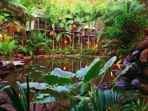 Daintree Eco Lodge & Spa - Yamba Accommodation 0