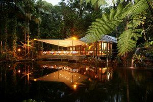 Daintree Eco Lodge & Spa - Yamba Accommodation 2