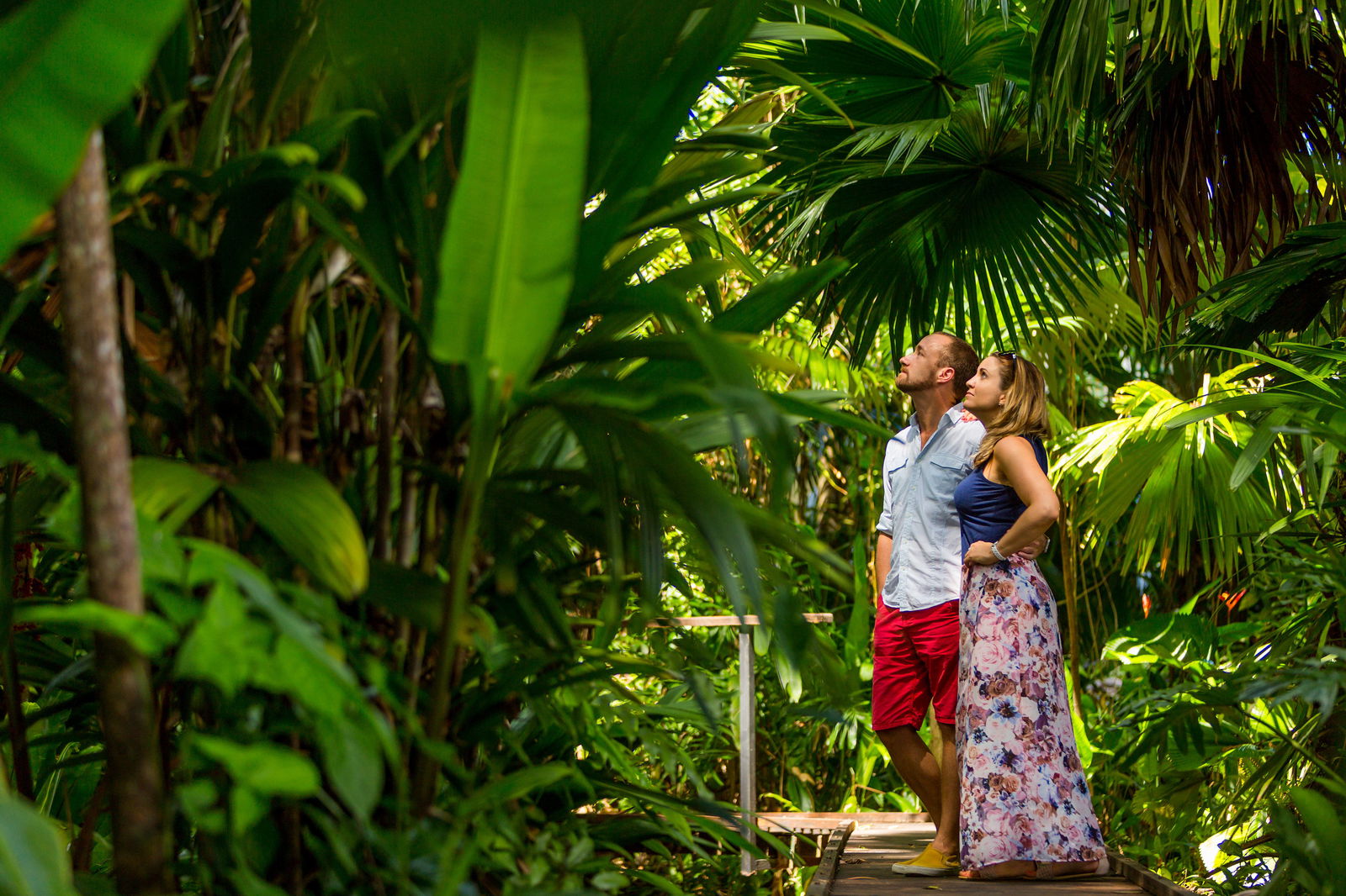 Cairns North QLD Yamba Accommodation