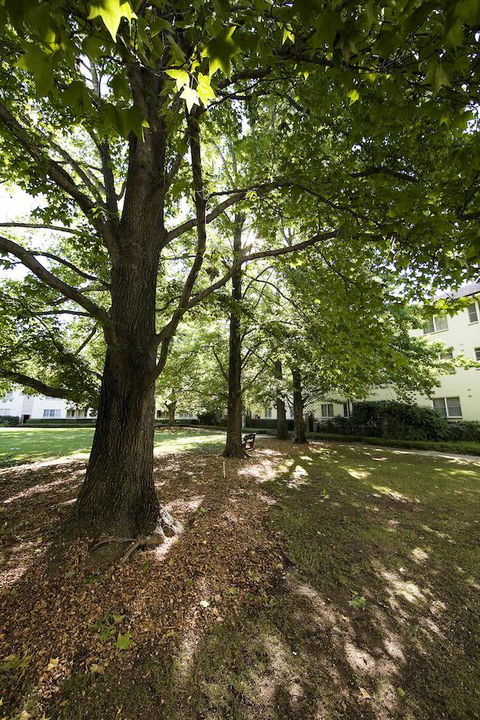 University House - ANU - Yamba Accommodation 28