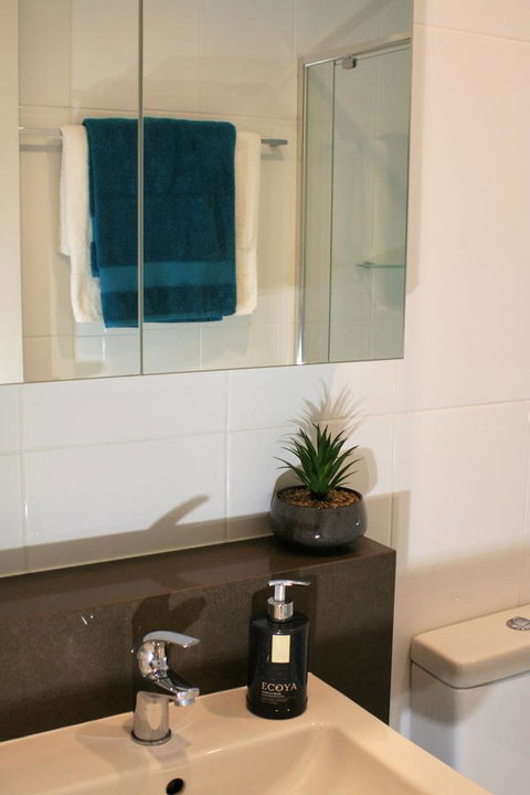 Modern Executive Apt@Barton*1BR*WiFi*Gym*Secure Parking*Canberra - Yamba Accommodation 13