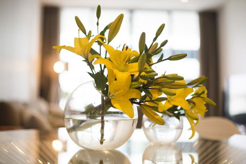 KUI - Manhattan Apartments - Yamba Accommodation 0