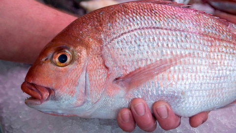 Mollymook Beach Waterfront - Yamba Accommodation 16