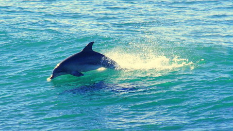 Mollymook Beach Waterfront - Yamba Accommodation 22