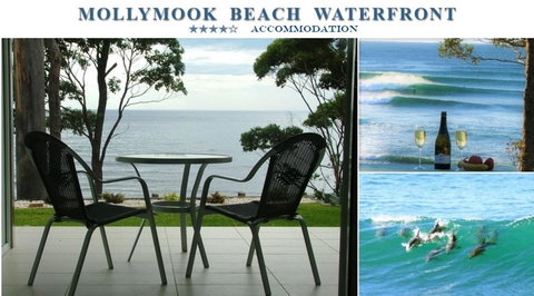 Mollymook Beach Waterfront - Yamba Accommodation 1