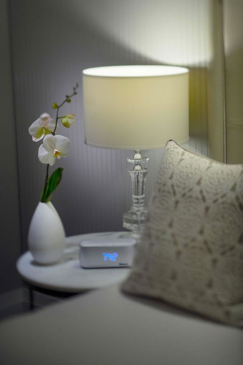 Mayfair Hotel - Yamba Accommodation 13