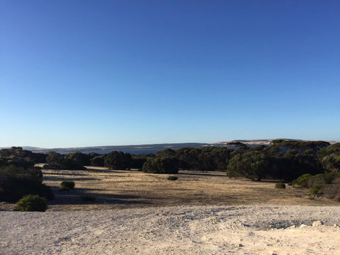 Wallaby Retreat - Yamba Accommodation 1