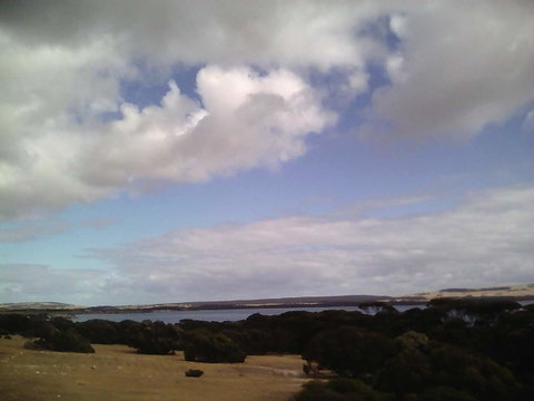 Wallaby Retreat - Yamba Accommodation 2