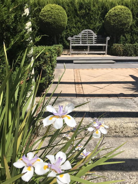 S T U D I O 22 Peaceful Retreat With Garden Views - Yamba Accommodation 13