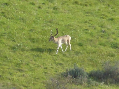 Molly's Chase - Yamba Accommodation 12