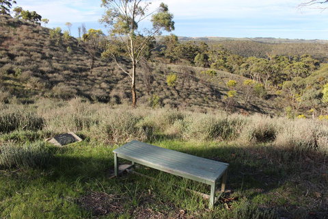 Molly's Chase - Yamba Accommodation 31