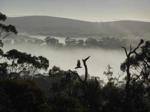 Molly's Chase - Yamba Accommodation 28