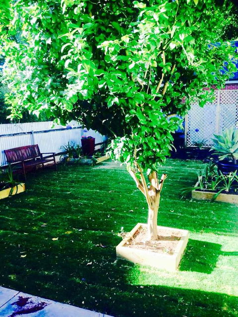 A Rose By The Park - Yamba Accommodation 11