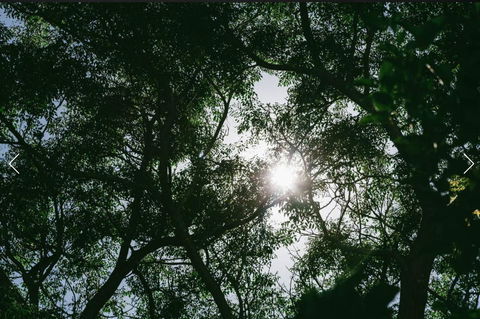 A Rose By The Park - Yamba Accommodation 13