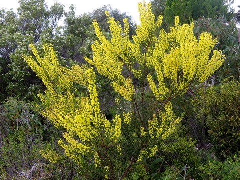 Kestrel Downs - Yamba Accommodation 26