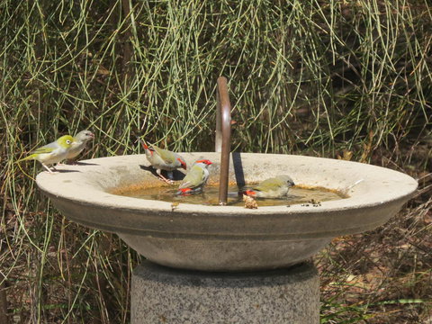 Kestrel Downs - Yamba Accommodation 24