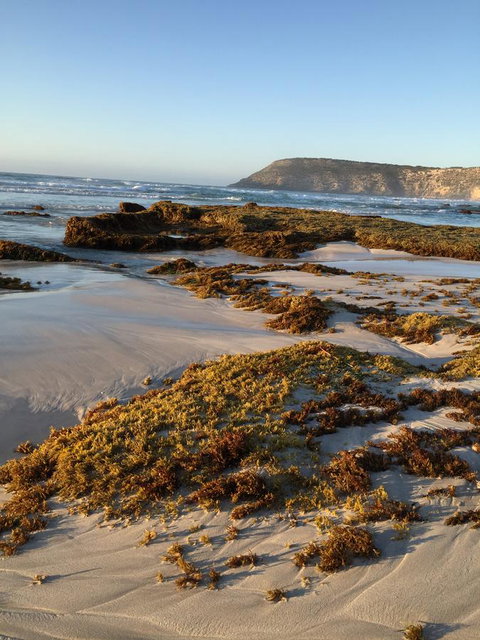 Kestrel Downs - Yamba Accommodation 34