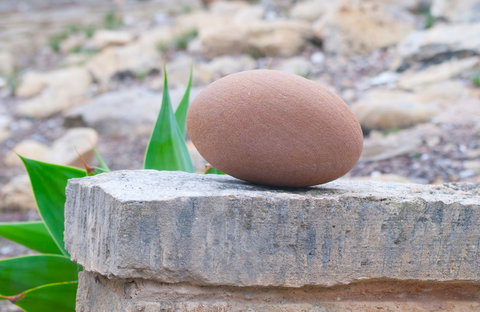 Kestrel Downs - Yamba Accommodation 30