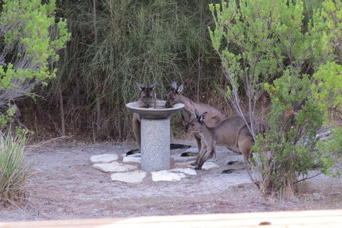 Kestrel Downs - Yamba Accommodation 23