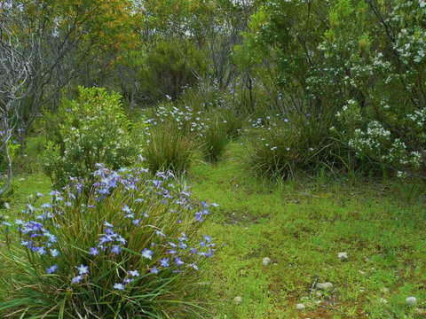 Kestrel Downs - Yamba Accommodation 32