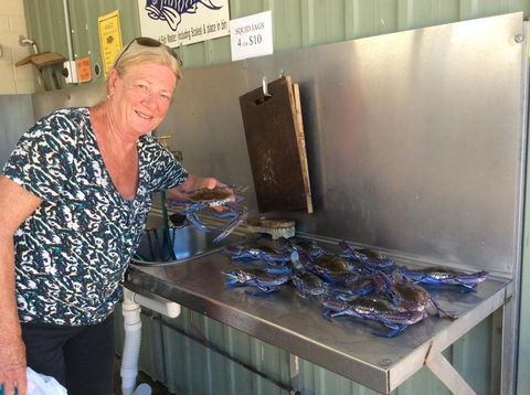 Ceduna Foreshore Caravan Park - Yamba Accommodation 28