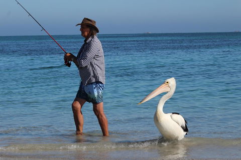 Ceduna Foreshore Caravan Park - Yamba Accommodation 21