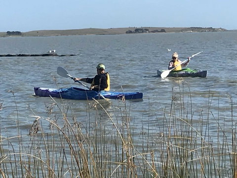 Hydeaway Bay - Own Private Bay + Kayaks - Yamba Accommodation 30
