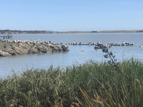 Hydeaway Bay - Own Private Bay + Kayaks - Yamba Accommodation 34