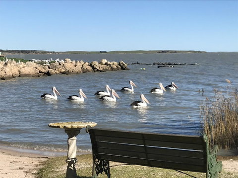 Hydeaway Bay - Own Private Bay + Kayaks - Yamba Accommodation 18