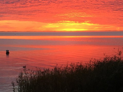 Hydeaway Bay - Own Private Bay + Kayaks - Yamba Accommodation 37