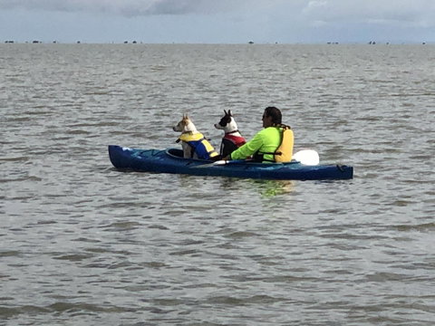 Hydeaway Bay - Own Private Bay + Kayaks - Yamba Accommodation 31