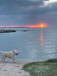 Book Meningie Accommodation Vacations Yamba Accommodation Yamba Accommodation