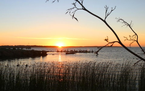 Hydeaway Bay - Own Private Bay + Kayaks - Yamba Accommodation 36