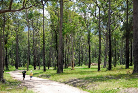 SkyView Villa - Yamba Accommodation 28
