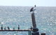 Home On Torrens - thumb 10