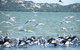 Coorong Waterfront Retreat - thumb 25