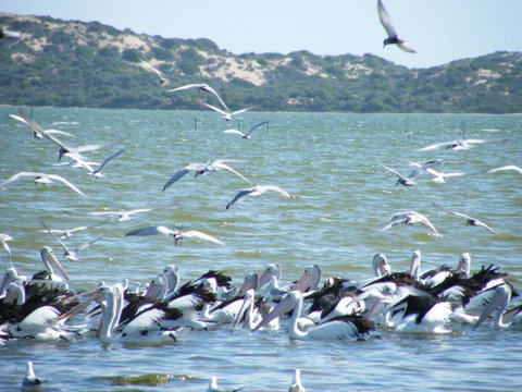 Coorong Waterfront Retreat - Yamba Accommodation 25