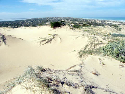 Coorong Waterfront Retreat - Yamba Accommodation 32
